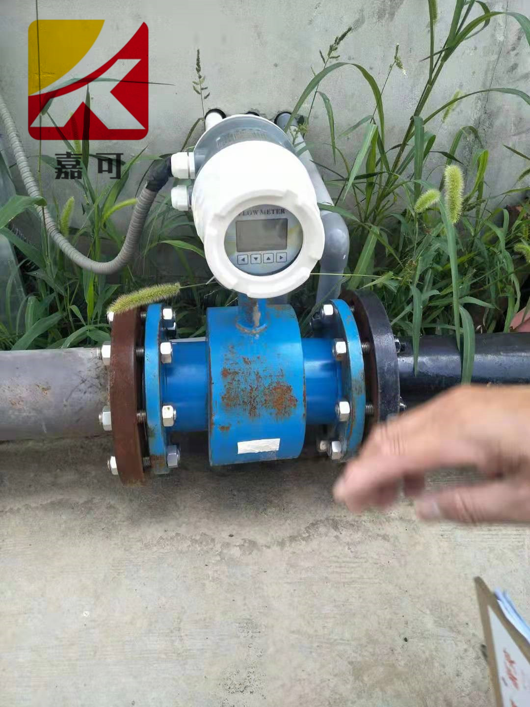 1559094381918035754.jpg 8.jpg